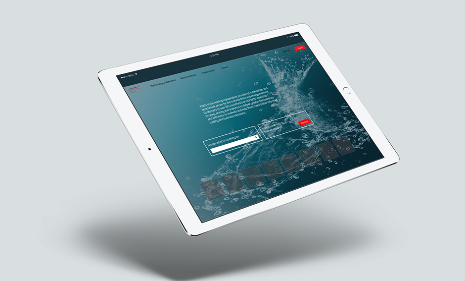 Portfolio Item